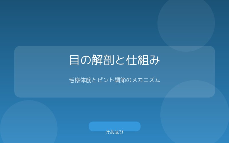 目の構造：毛様体筋と水晶体の調節の仕組み