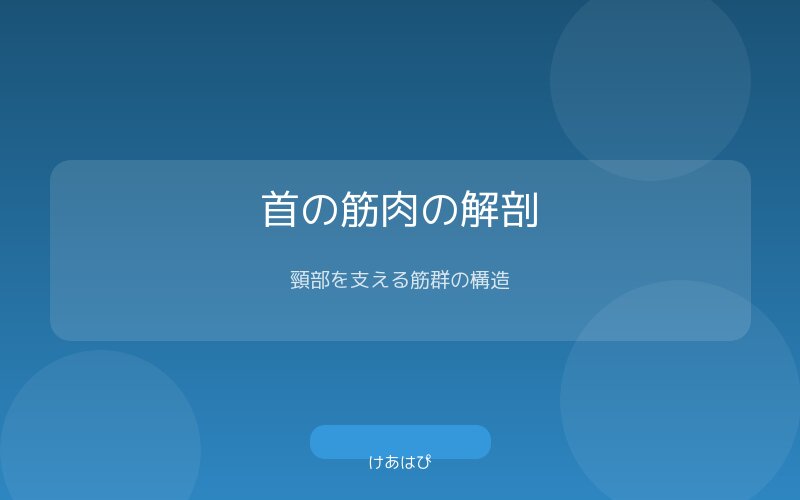 首の筋肉群(胸鎖乳突筋・斜角筋・僧帽筋)の解剖図